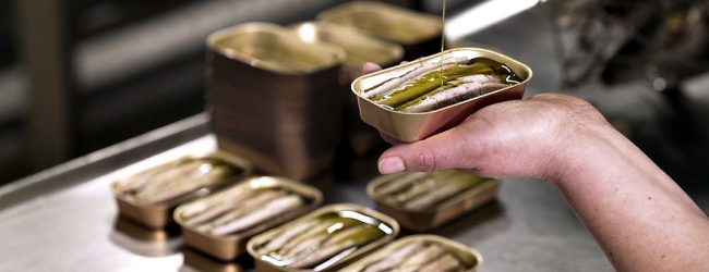 Conserveiras portuguesas apontam bazuca de 20 M€ a lata de sardinha em formato de lingote