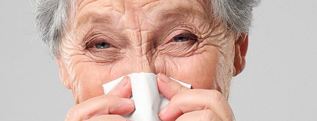 ECDC alerta para possível próxima época gripal particularmente severa para os mais idosos
