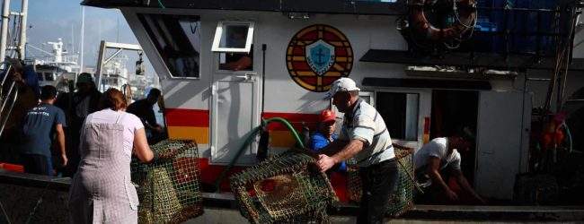 Pescadores dizem na Póvoa de Varzim que subida dos combustíveis deixa atividade “insustentável”