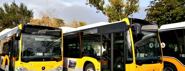 AMPorto invoca interesse público para se opor a adjudicação em concurso para autocarros