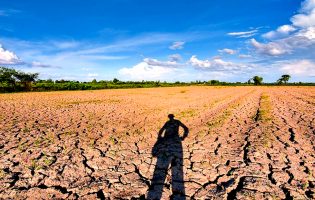 Agricultores do Norte de Portugal precisam de fevereiro chuvoso para salvar próximas culturas