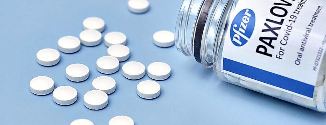 Agência Europeia do Medicamento avalia pedido para comercialização de medicamento da Pfizer