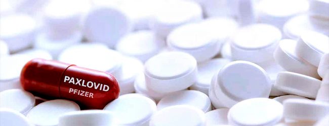 Agência Europeia do Medicamento dá ‘luz verde’ a primeiro medicamento oral para tratar Covid-19