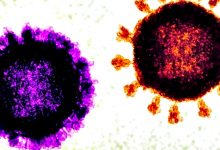 OMS diz que casos de ‘Flurona’ não elevam risco de novas variantes mais perigosas de SARS-CoV-2