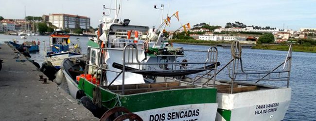 Ministra da Agricultura diz que Governo de Portugal está “atento” a efeitos no setor da pesca
