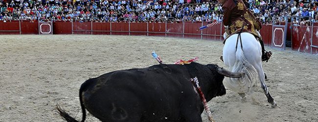 Promotores de tourada movem ação judicial contra parecer da Câmara de Vila Conde