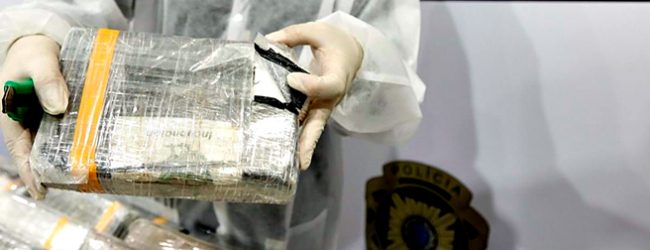 Mais de mil quilos de cocaína aprendidos pela Polícia Judiciária no Porto ocultos em tijoleiras