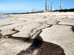 Análises feitas por iniciativa do PSD de Matosinhos às águas balneares revelam bactéria