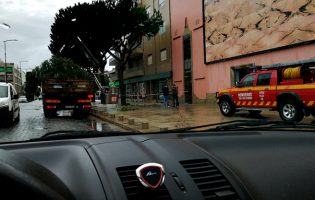 Chuva e vento fortes provocam inúmeras quedas de árvores e inundações no Distrito do Porto
