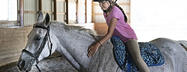 Instrutor de equitação de Vila do Conde detido pela PJ por abusos sexuais de menores