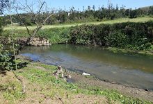 Guarda-rios renascem para despoluir e zelar o rio Leça em Maia, Matosinhos, Santo Tirso e Valongo
