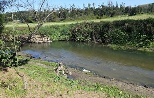 Guarda-rios renascem para despoluir e zelar o rio Leça em Maia, Matosinhos, Santo Tirso e Valongo