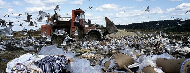 Bloco de Esquerda questiona Comissão Europeia sobre Aterro Sanitário de Paradela em Barcelos