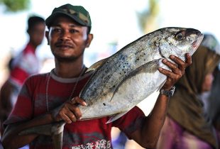 Docapesca e sindicatos dos trabalhadores da pesca acordam aumentos salariais entre 2 e 8,7%
