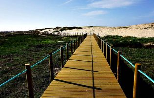APA e Câmara de Vila do Conde garantem intervenção na Reserva Ornitológica de Mindelo