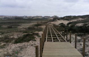 BE alerta para “falta de conservação” da Reserva Ornitológica de Mindelo em Vila do Conde