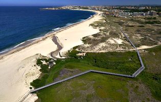 FAPAS faz cordão humano para proteger Reserva Ornitológica de Mindelo em Vila do Conde
