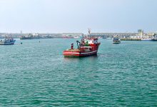 Oceanic investe 2,2 milhões de euros na ampliação de fábrica de peixe em Sines