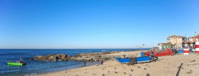 Associação ambientalista Zero reconheceu este ano 54 praias Zero Poluição em Portugal
