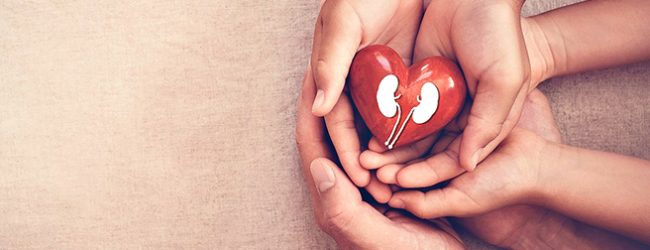 Estudo diz que Portugal tem maior prevalência de insuficiência cardíaca em adultos entre 11 países