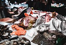 Laboratório em Matosinhos quer transformar desperdício do pescado em “produtos úteis”