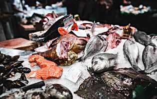 Laboratório em Matosinhos quer transformar desperdício do pescado em “produtos úteis”