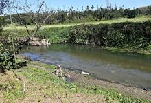 Limpeza e recuperação do rio Leça arrancou segunda feira com um investimento de 4M€