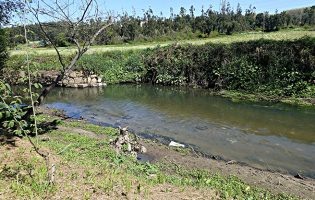Limpeza e recuperação do rio Leça arrancou segunda feira com um investimento de 4M€