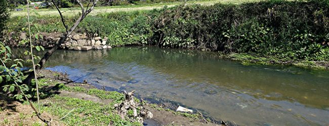 Limpeza e recuperação do rio Leça arrancou segunda feira com um investimento de 4M€