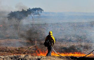 118 operacionais e 39 viaturas dominam fogo de 3 frentes na freguesia de Arcos em Vila do Conde