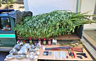 GNR detém homem de 32 anos em Vila do Conde e apreende quase 500 plantas de canábis em casa