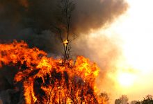 Homem de 64 anos detido por atear fogo florestal na freguesia de Aveleda em Vila do Conde