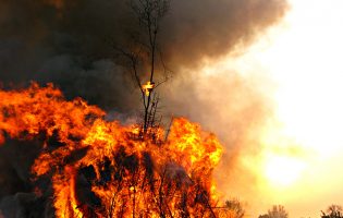 Homem de 64 anos detido por atear fogo florestal na freguesia de Aveleda em Vila do Conde