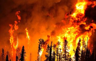 4 meios aéreos e 107 operacionais combatem incêndio com 3 frentes em freguesias da Trofa