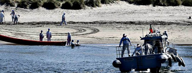 Plano Mar Limpo remove cerca de 400 partículas de plástico de praias entre Caminha e Aveiro