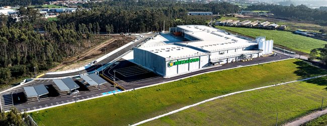Cadeia espanhola Mercadona vendeu mais 90% em Portugal em 2023 e deixou de ter prejuízos
