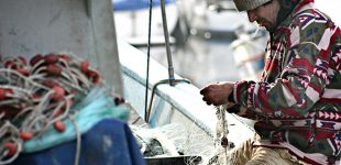 Fotografias sobre a pesca do cerco em Portugal expostas em Sines vão passar por Vila do Conde