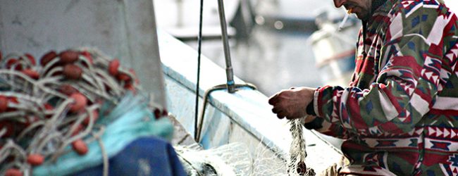 Fotografias sobre a pesca do cerco em Portugal expostas em Sines vão passar por Vila do Conde