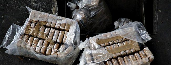 PSP diz que apreensão de 602 mil euros oriundos de droga pode ser a maior de sempre no Porto