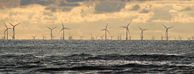 Pescadores do Norte dizem que proposta para  energias renováveis ‘offshore’ é para cumprir