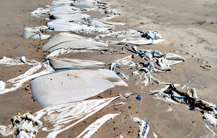 BE pede que Governo atue em “atentado ambiental” na praia da Estela da Póvoa de Varzim