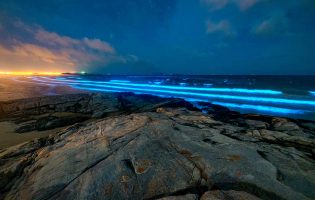 Alga Noctiluca Scintillans dá bioluminescência ao mar na freguesia de Vila Chã em Vila do Conde