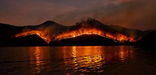 Sete mortes, 118 feridos e 75 mil hectares ardidos nos concelhos do País afetados pelos incêndios