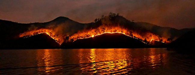 Sete mortes, 118 feridos e 75 mil hectares ardidos nos concelhos do País afetados pelos incêndios