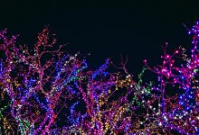 Matosinhos vai ter 16 quilómetros de iluminações de Natal espalhadas por 88 locais do concelho