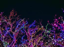 Matosinhos vai ter 16 quilómetros de iluminações de Natal espalhadas por 88 locais do concelho