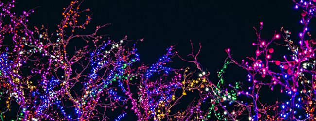 Matosinhos vai ter 16 quilómetros de iluminações de Natal espalhadas por 88 locais do concelho