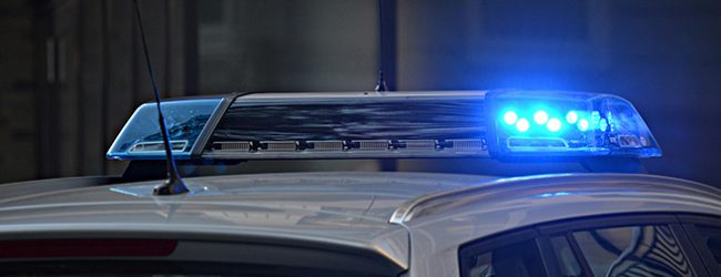 Operação policial fecha três estabelecimentos e detém 32 pessoas na região do grande Porto