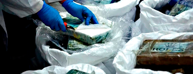 PSP apreendeu 90 mil doses de droga e deteve cinco suspeitos de narcotráfico no Norte do País