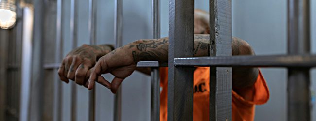 Ensino nas prisões cresce porque é “arma lá fora” e 3.454 reclusos trocam celas por salas de aula